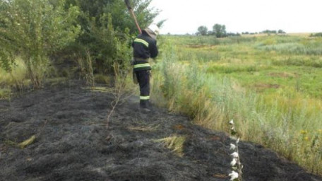 Пожежі в екосистемах: горить суха трава 