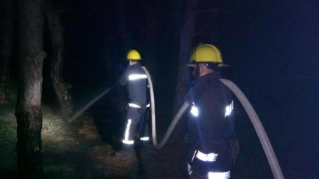 Каховський район: вогнеборці загасили лісову низову пожежу 