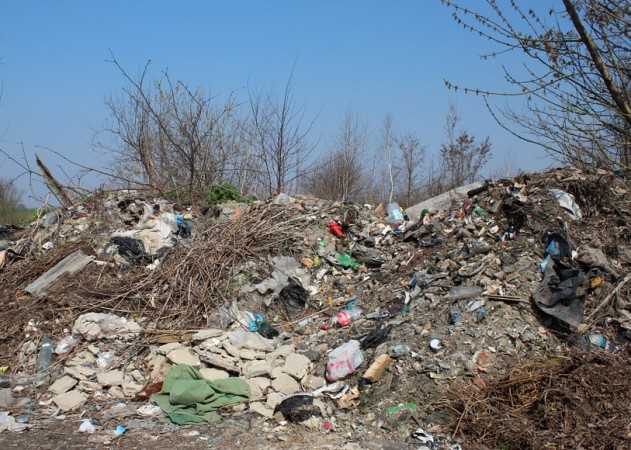 В адміністративних межах Виноградівської сільської ради виявлено засмічення та забруднення земельної ділянки побутовими та будівельними відходами