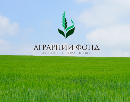 АТ «Аграрний фонд» розпочинає закупівлю зерна  врожаю 2022 року
