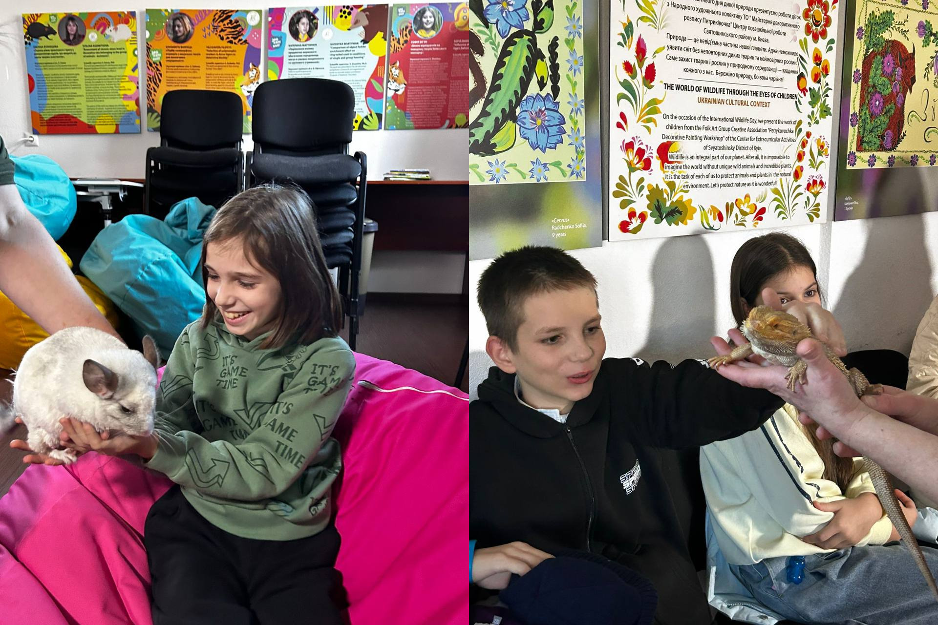 Два об'єднані кадри, що зображують дітей на інтерактивному занятті з тваринами. На лівому кадрі дівчинка в зеленому светрі сидить на рожевому пуфі, усміхається та гладить білу шиншилу, яку тримає на руках. На правому кадрі хлопчик і дівчинка тримають на долонях бородату агаму (ящірку). На стінах позаду них висять яскраво оформлені плакати про українську культуру та дитячу творчість.