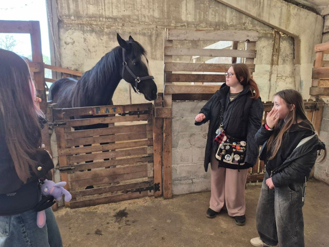 Три дівчини стоять біля дерев'яного стійла, в якому знаходиться темний кінь із білою плямою на морді. Вони спостерігають за твариною в приміщенні стайні.