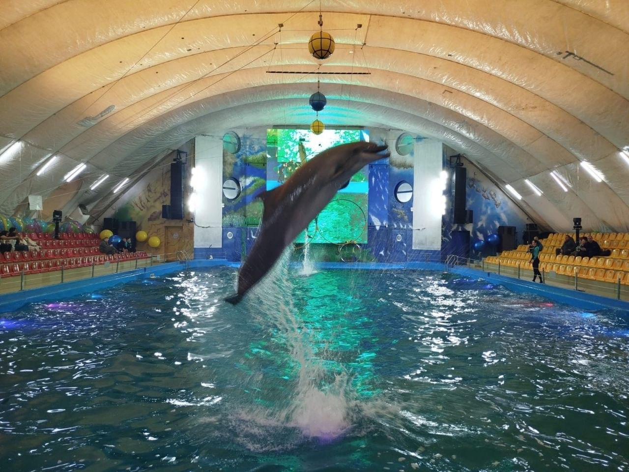 Дельфін високо вистрибує з басейну під час вистави в дельфінарії. Навколо великої чаші з водою розташовані трибуни для глядачів, а над басейном під куполом підвішене тренувальне обладнання.