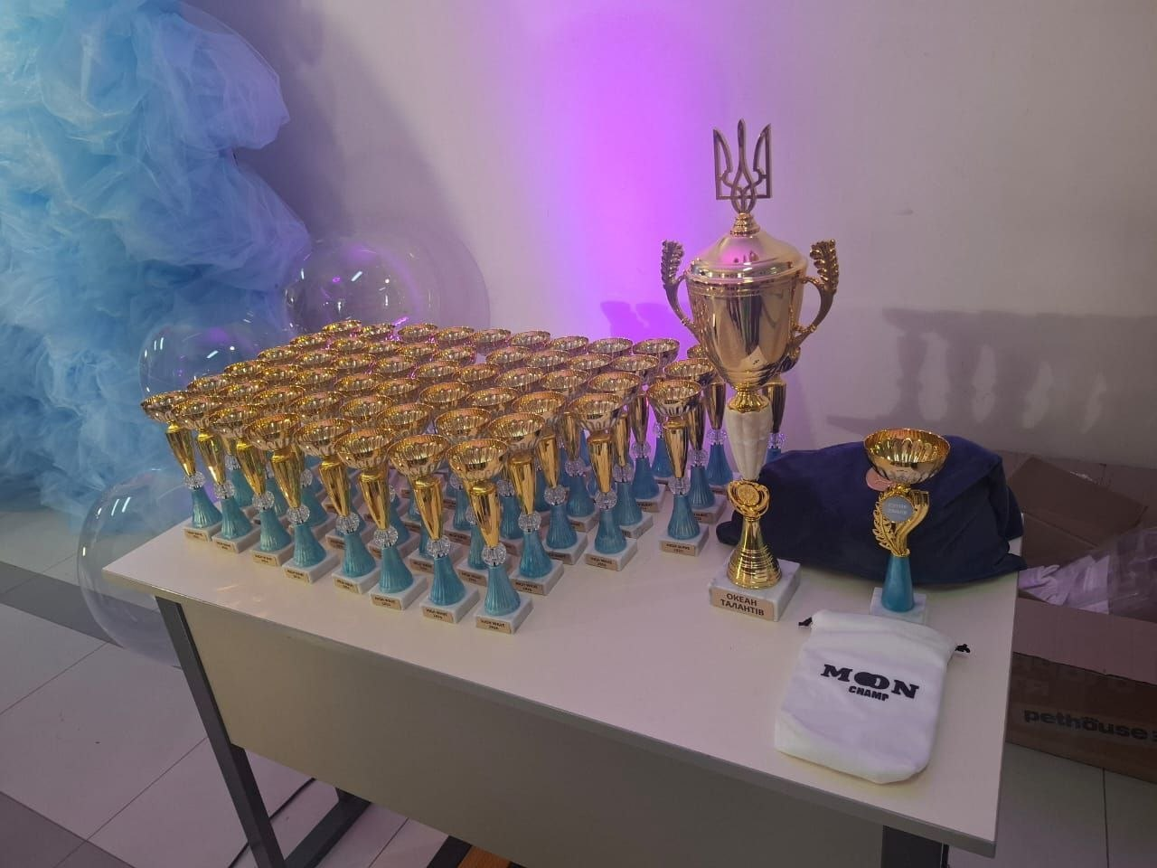 На столі розставлено багато золотистих нагородних кубків. Серед них виділяється один великий кубок, прикрашений гербом України — Тризубом. Поруч лежить білий мішечок з логотипом «MON CHAMP».