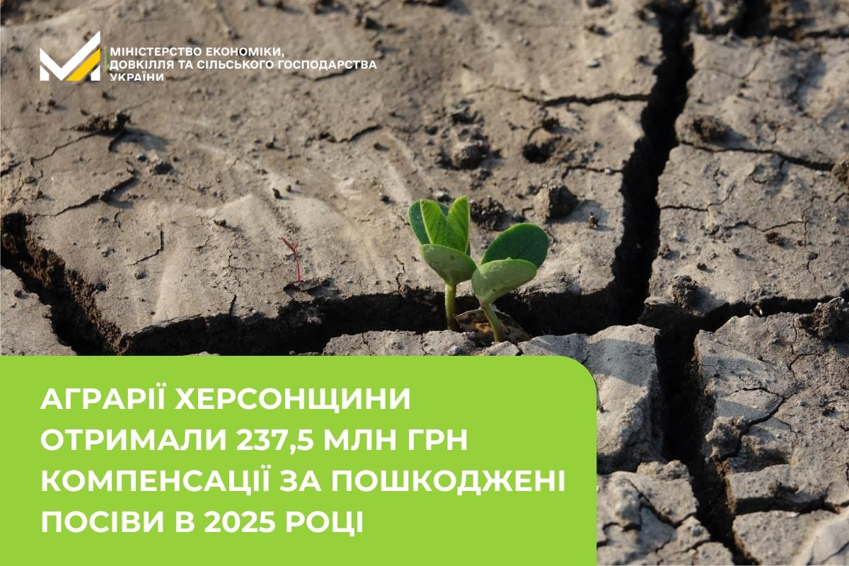 Інформаційна картка Мінекономіки: аграрії Херсонщини отримали 237,5 млн грн компенсації за пошкоджені посіви у 2025 році. Візуально зображено паросток на потрісканій від посухи землі.