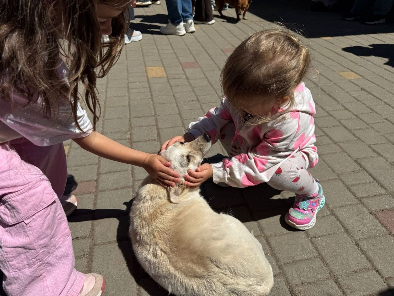 Дві маленькі дівчинки присіли на брукованому майданчику та ніжно гладять світлого собаку, який спокійно лежить на землі.