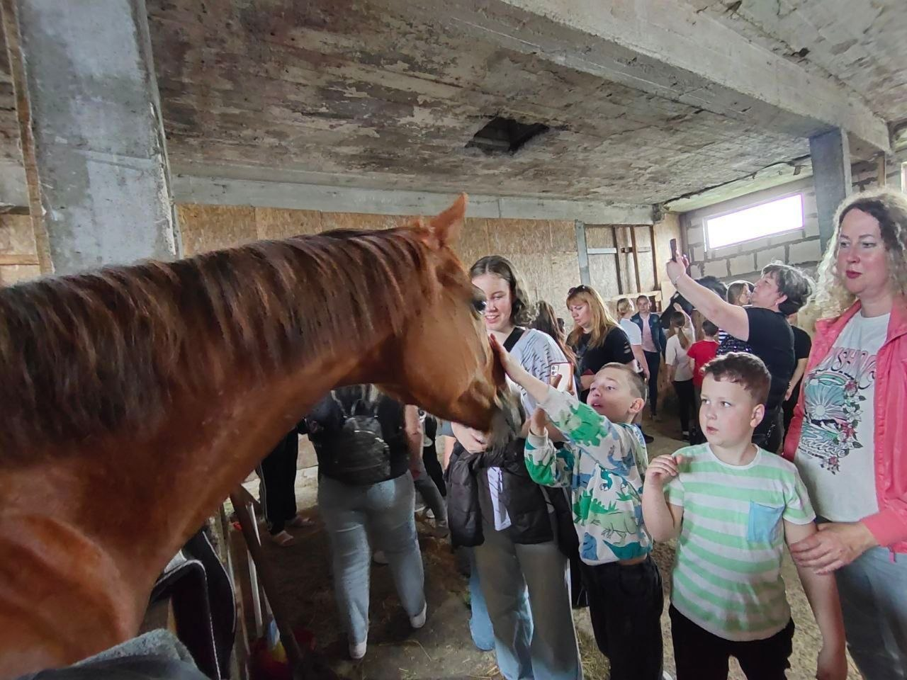 Фото всередині стайні, де група дорослих та дітей спілкується з конем. Хлопчик у візерунчастій кофті протягує руку, щоб погладити голову рудого коня, який заглядає до коридору. Інші відвідувачі спостерігають за цим, а жінка праворуч фотографує подію на смартфон.