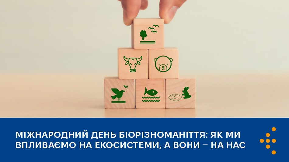 Рука будує піраміду з дерев'яних кубиків із зображеннями природи та тварин на тлі синього банера з написом «МІЖНАРОДНИЙ ДЕНЬ БІОРІЗНОМАНІТТЯ: ЯК МИ ВПЛИВАЄМО НА ЕКОСИСТЕМИ, А ВОНИ – НА НАС».