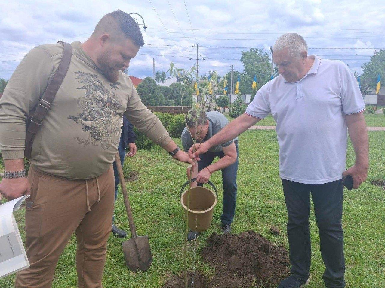 Чоловіки на галявині висаджують молоде дерево, підтримуючи саджанець біля лунки із землею, поруч із якою стоїть лопата.