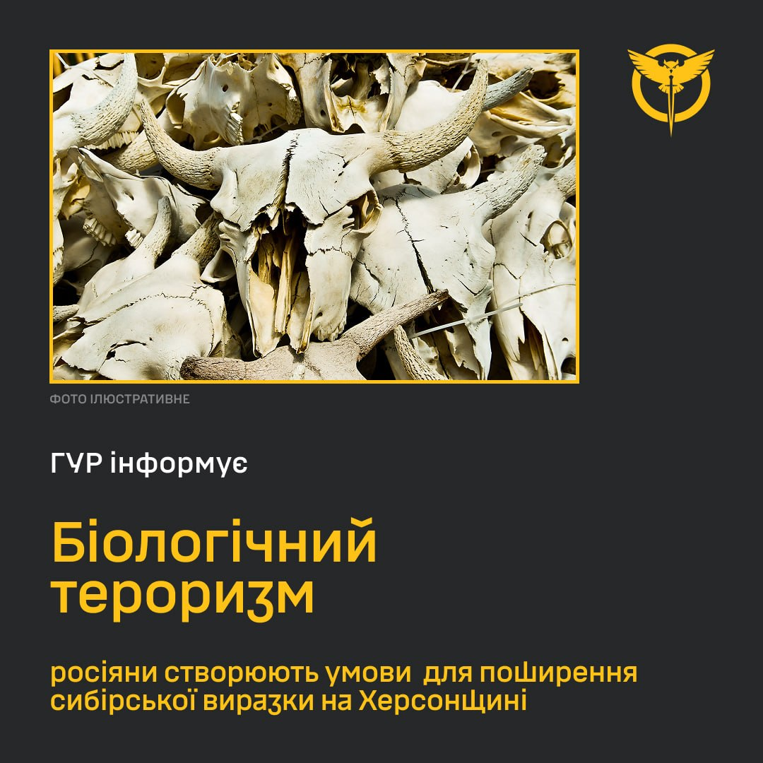 Інформаційна графіка ГУР МО України із заголовком «Біологічний тероризм» та ілюстративним фото стосу черепів великої рогатої худоби.