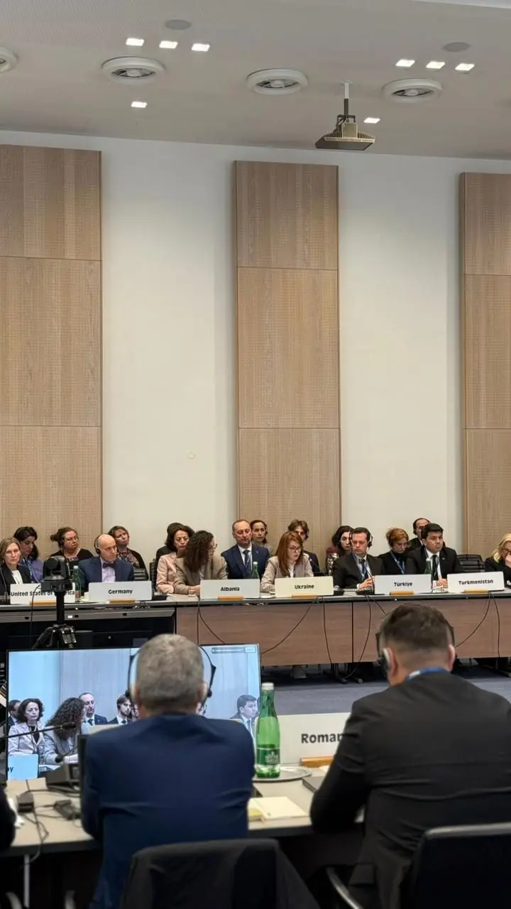 Учасники міжнародної конференції сидять рядами у великій залі засідань з дерев'яними стіновими панелями, де на столах встановлено таблички з назвами країн, зокрема «Germany», «Albania», «Ukraine», «Türkiye» та «Turkmenistan», а на передньому плані видно великий екран онлайн-трансляції.