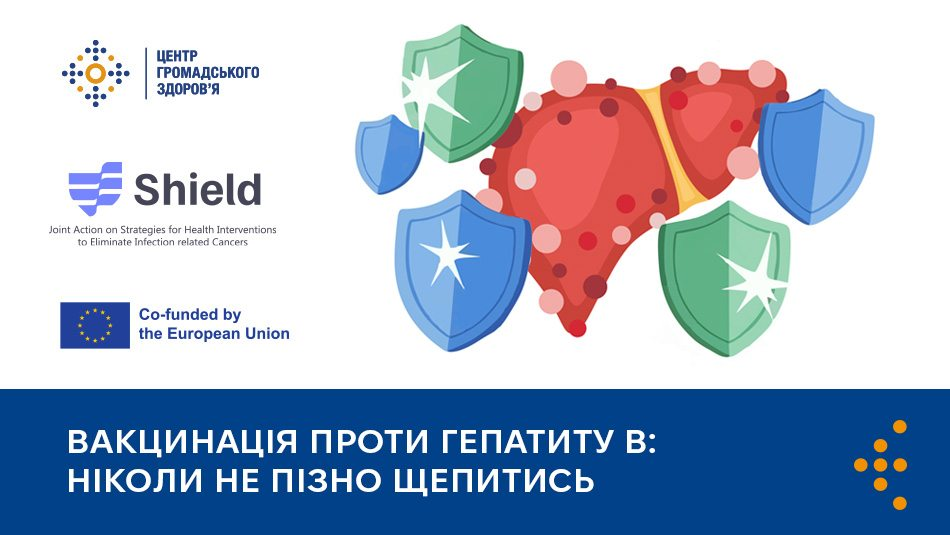Інформаційний банер українською мовою про важливість вакцинації проти гепатиту B. На зображенні праворуч показано стилізовану печінку, оточену захисними щитами, а ліворуч розміщено медичні та європейські логотипи. Нижня частина містить великий білий заголовок: «ВАКЦИНАЦІЯ ПРОТИ ГЕПАТИТУ В: НІКОЛИ НЕ ПІЗНО ЩЕПИТИСЬ».