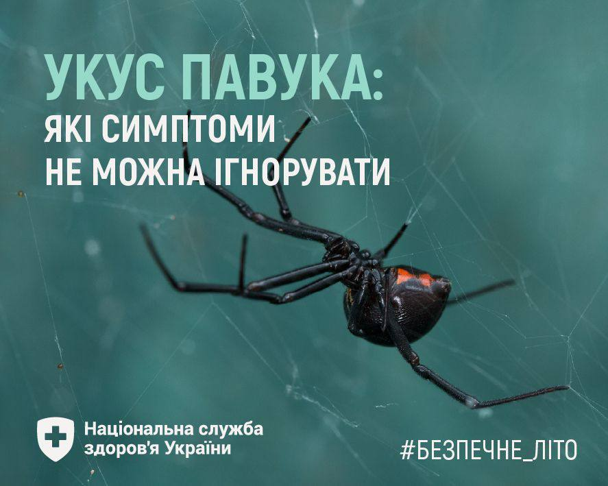 Інформаційна графіка з великим білим текстовим заголовком «УКУС ПАВУКА: ЯКІ СИМПТОМИ НЕ МОЖНА ІГНОРУВАТИ» на тлі розмитої павутини, на якій сидить чорний павук із червоною плямою на черевці. У нижніх кутах розміщено логотип «Національна служба здоров'я України» та хештег «#БЕЗПЕЧНЕ_ЛІТО».