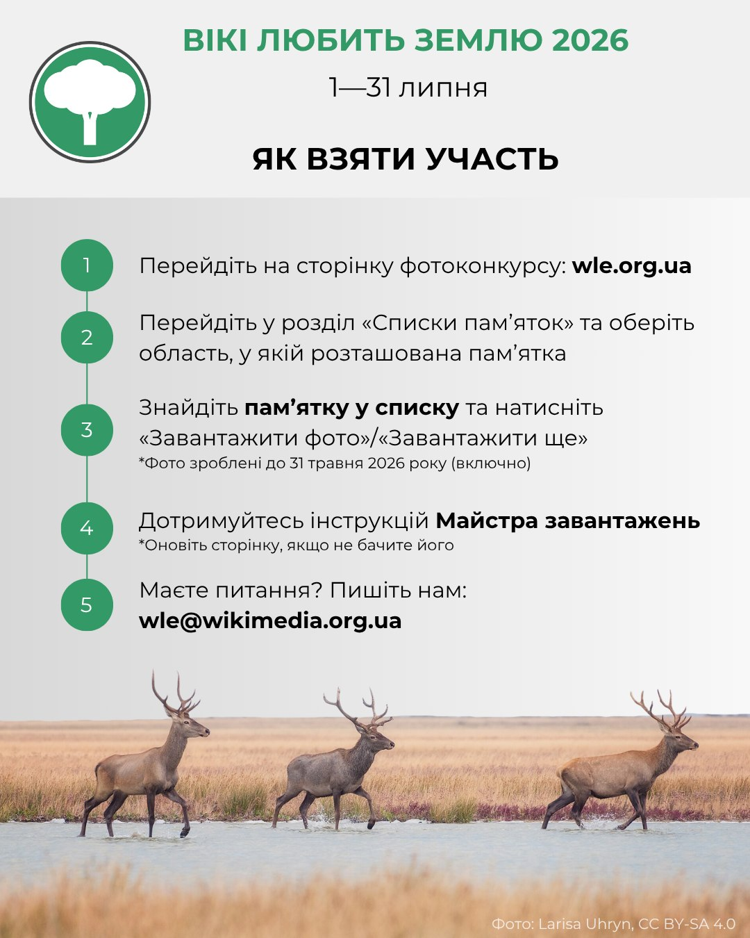 Інформаційний плакат фотоконкурсу «Вікі любить Землю 2026» із покроковою інструкцією з п'яти пунктів про те, як взяти участь, та фотографією оленів на природі в нижній частині.