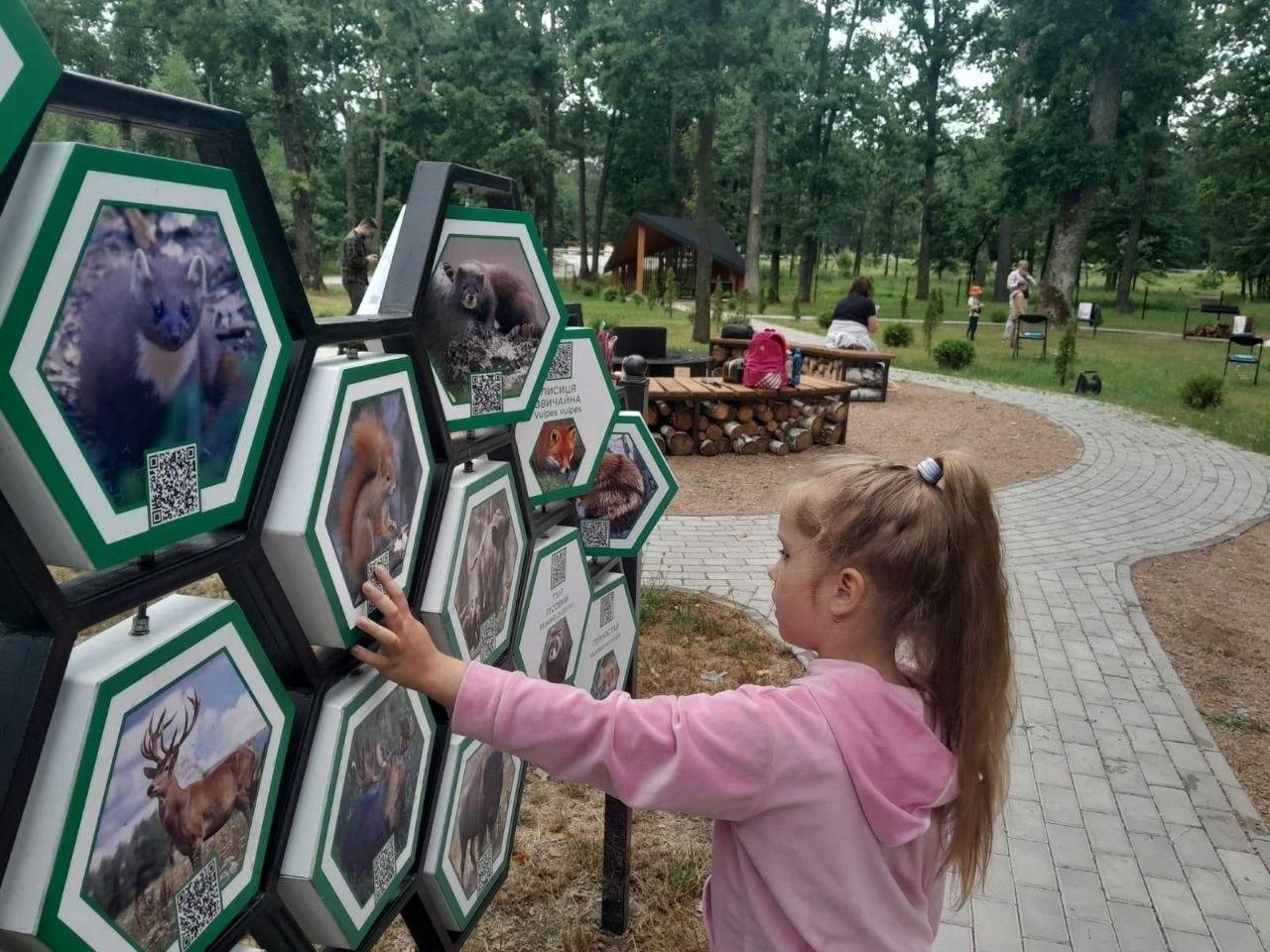 Дівчинка в рожевій кофті розглядає інтерактивний стенд у вигляді бджолиних стільників із фотографіями та назвами диких тварин на території парку чи зони відпочинку.