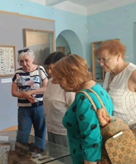 Група літніх жінок розглядає експонати в музеї, нахилившись над скляною вітриною.