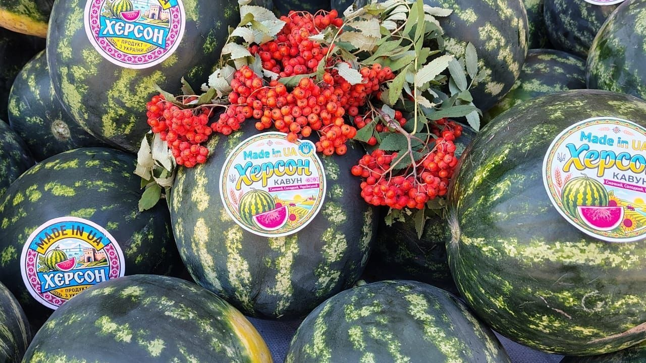 Смугасті херсонські кавуни з патріотичними наліпками «Херсон. Продукт з України» та «Made in UA. Херсон кавун», які продавала команда гуманітарного центру допомоги херсонцям у місті Кропивницький «Вільні разом». Зверху на кавунах лежить свіжозрізана гілка з яскраво-червоними гронами горобини для прикрашання благодійного столу.