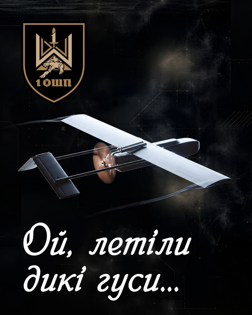 Рекрутингове графічне зображення 1 ОШП імені Дмитра Коцюбайла із закликом долучатися до лав підрозділу. На темному текстурованому тлі з елементами диму зображено військовий далекобійний безпілотник літакового типу, що символізує нові технологічні підходи та рішення для знищення ворога ще до безпосереднього бойового контакту. У лівому верхньому кутку розміщено емблему військового підрозділу із зображенням трьох вовчих голів, меча та написом 1 ОШП усередині золотистого щита. Знизу великим білим рукописним шрифтом нанесено напис: Ой, летіли дикі гуси….