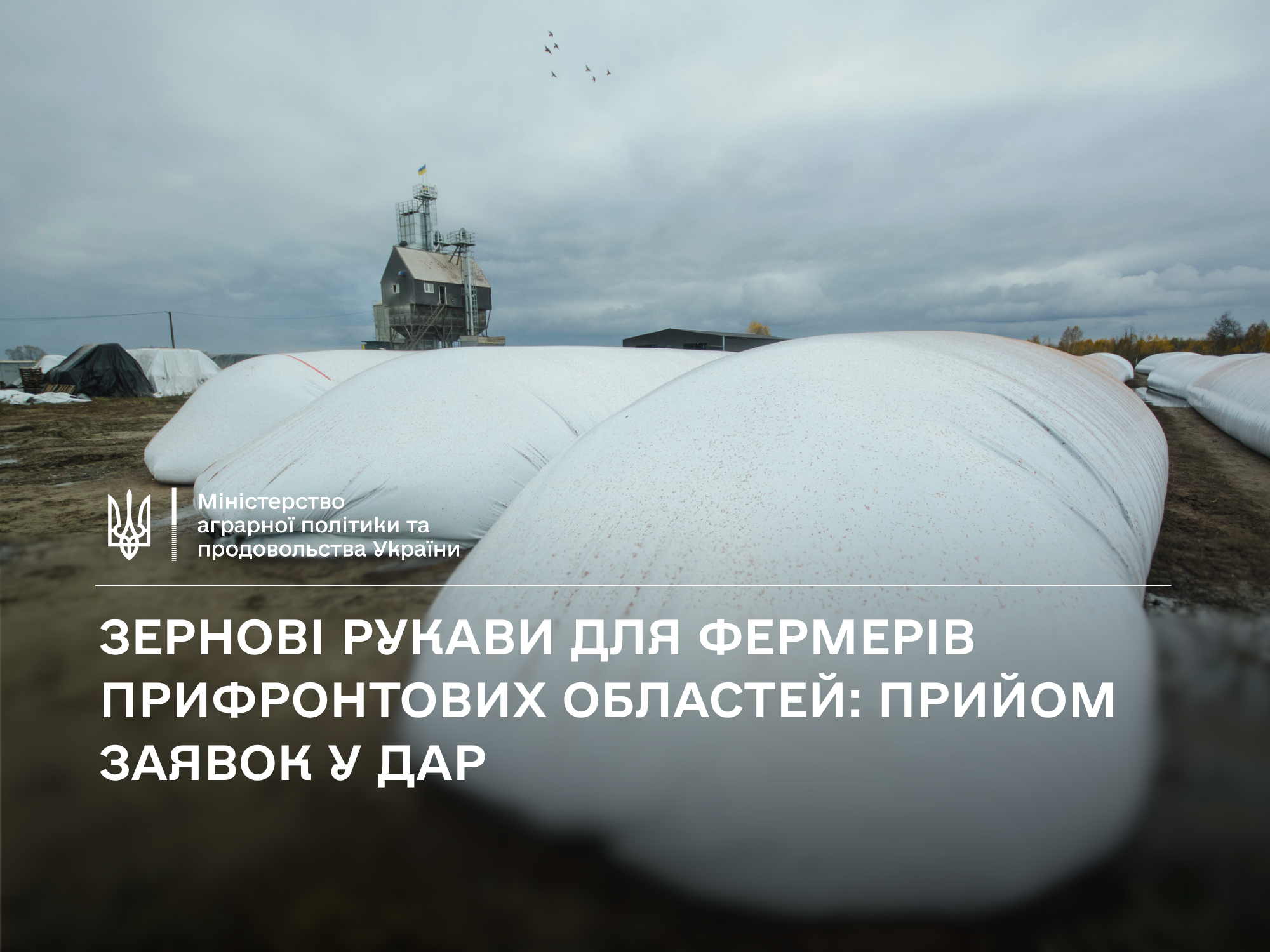 Великі білі полімерні рукави для зберігання зерна на полі на тлі елеватора під хмарним небом. На зображенні розміщено логотип Міністерства аграрної політики України та великий заголовок про прийом заявок у Державний аграрний реєстр на зернові рукави для фермерів прифронтових областей. Програма створена ФАО, ВПП, Мерсі Корпс та Червоним Хрестом за підтримки міжнародних партнерів для безкоштовної допомоги господарствам від ста до трьох тисяч гектарів. Подати заявку на збереження врожаю дві тисячі двадцять шостого року можна з двадцять восьмого серпня до тринадцятого вересня у Дніпропетровській, Донецькій, Запорізькій, Миколаївській, Одеській, Сумській, Харківській, Херсонській та Чернігівській областях.