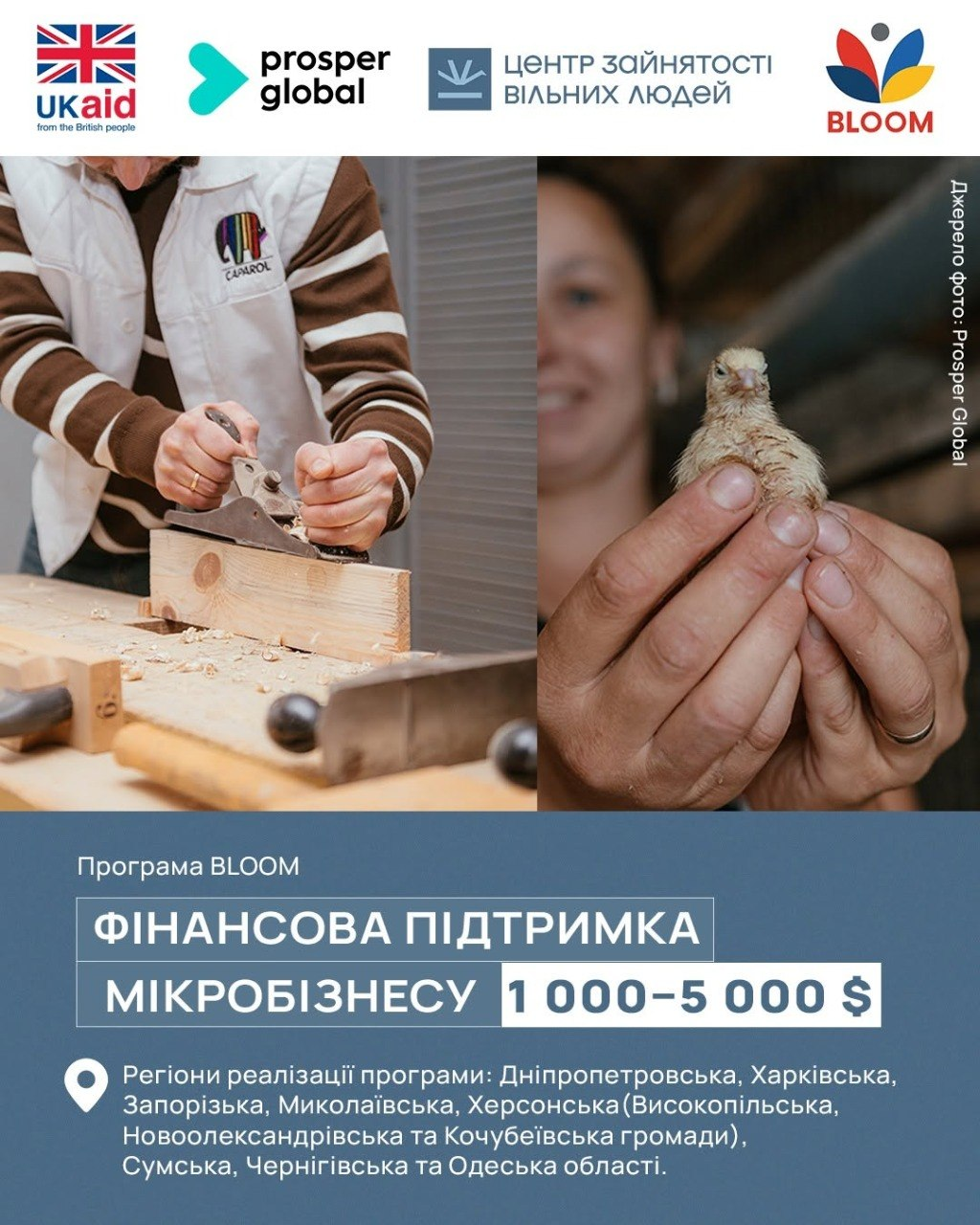 Інформаційний банер програми BLOOM про надання грантів від 1 000 до 5 000 $ на започаткування або відновлення мікробізнесу, зокрема для жителів Високопільської, Новоолександрівської та Кочубеївської громад Херсонщини. У верхній частині розміщені офіційні логотипи партнерів, серед яких «UK aid» та «Центр зайнятості вільних людей». Центр банера прикрашають дві ілюстративні фотографії: ліворуч чоловік працює ручним рубанком по дереву, а праворуч жінка дбайливо тримає у долонях маленьке пташеня. Нижня частина виконана у синьому кольорі з білим текстом «ФІНАНСОВА ПІДТРИМКА МІКРОБІЗНЕСУ», де також перелічено вісім областей реалізації програми, а прийом заявок на платформі bloom.mercycorps.org триває до 15 жовтня 2026 року.