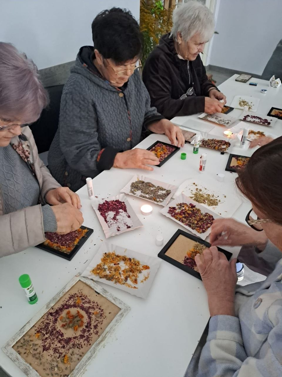 Група літніх жінок із числа переселенців із Херсонщини зосереджено сидить за довгим білим столом, створюючи художні картини та аплікації з різнокольорових сухих квітів, трав і насіння під час майстер-класу «Гарбузи — королі городу», організованого в межах комплексної підтримки Координаційного центру «Вільні разом» у Львові. Учасниці похилого віку одягнені в повсякденний теплий одяг, вони обережно викладають сухі пелюстки у фоторамки за допомогою клею, а на столі між ними на тарілочках розкладено заготовки рослинного матеріалу й горять маленькі декоративні свічки. Світлина відображає процес проведення арттерапії, творчого дозвілля та психоемоційного розвантаження для літніх людей, що допомагає соціальній адаптації та підтримці херсонців в евакуації силами львівського хабу.