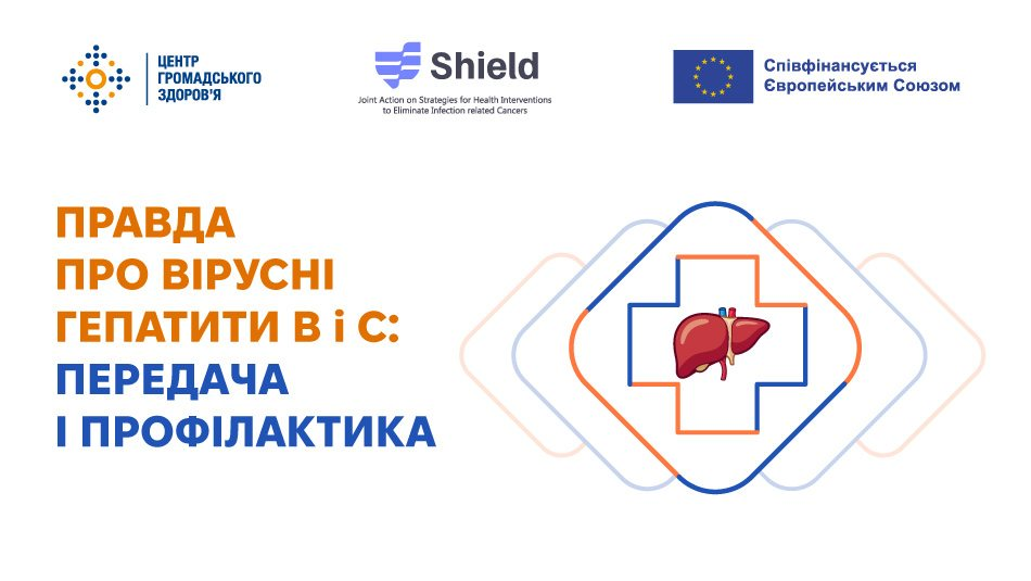 Інформаційний банер Центру громадського здоров’я МОЗ України, присвячений темі «Правда про вірусні гепатити B і C: частина 1 — передача і профілактика». У лівій частині на білому тлі помаранчевими та синіми літерами нанесено великий головний заголовок: «ПРАВДА ПРО ВІРУСНІ ГЕПАТИТИ B і C: ПЕРЕДАЧА І ПРОФІЛАКТИКА». У верхній частині банера розміщено офіційні логотипи Центру громадського здоров’я, проєкту «Shield» та знак «Співфінансується Європейським Союзом». Праворуч представлена графічна ілюстрація у вигляді великого медичного хреста з контурами синього та помаранчевого кольорів, у центрі якого зображено бордову анатомічну схему печінки з судинами, що символізує захист органу та профілактику інфекцій.