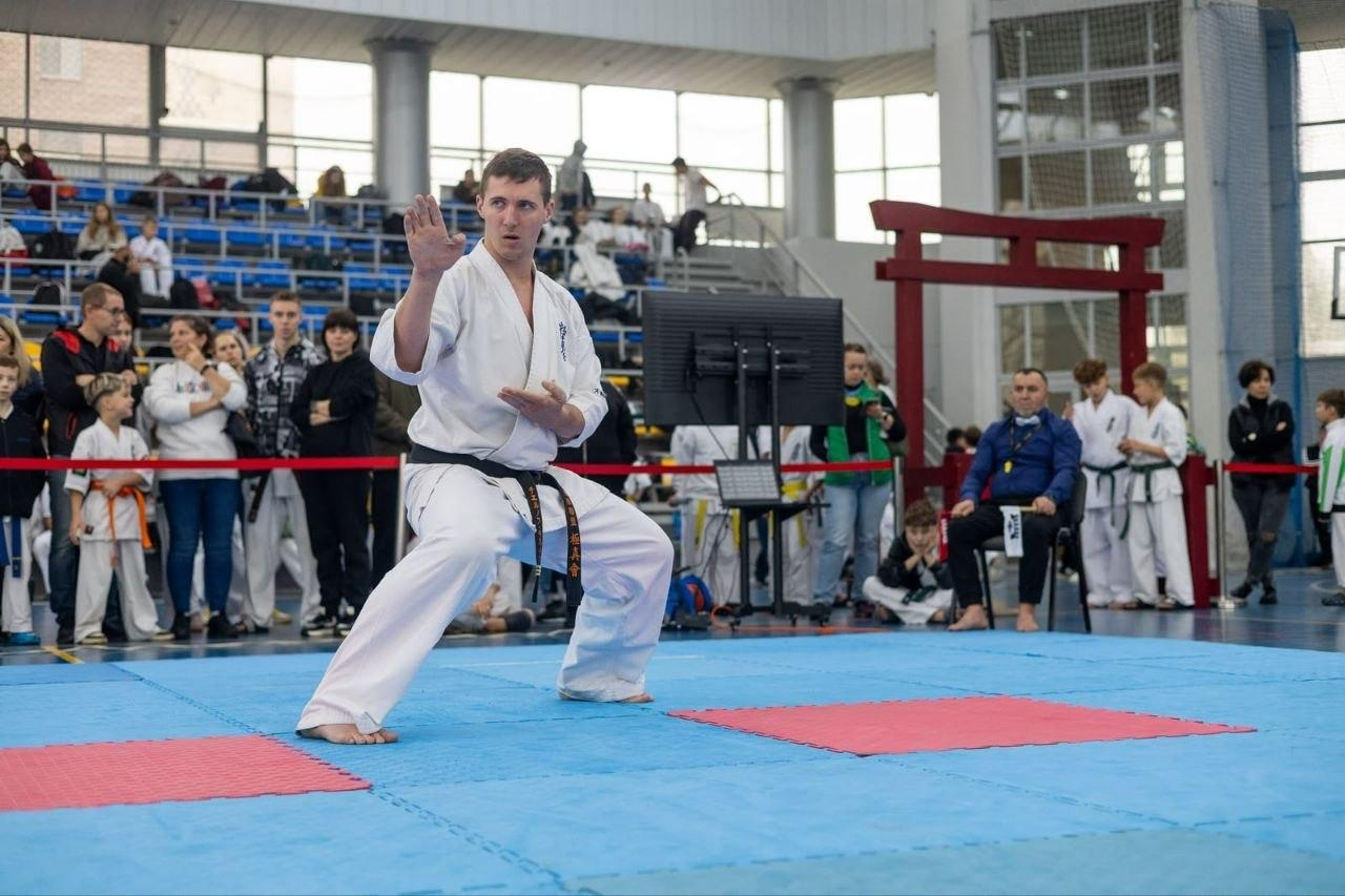 На світлині зафіксовано виступ херсонського спортсмена на Всеукраїнському турнірі з кіокушин БуДо карате у Полтаві. На синьо-червоному татамі в глибокій бойовій стійці позує каратист у білому кімоно з чорним поясом, який зосереджено виконує комплекс ката, тримаючи відкриту праву долоню перед собою. Позаду нього за червоною обмежувальною стрічкою стоять глядачі та інші учасники змагань, які спостерігають за виступом. На задньому плані праворуч сидить на стільці біля монітора боковий суддя у синій сорочці з білим блокнотом на колінах, а за ним височіє декоративна червона японська арка торії, біля якої вишикувалися юні каратисти в білих кімоно.
