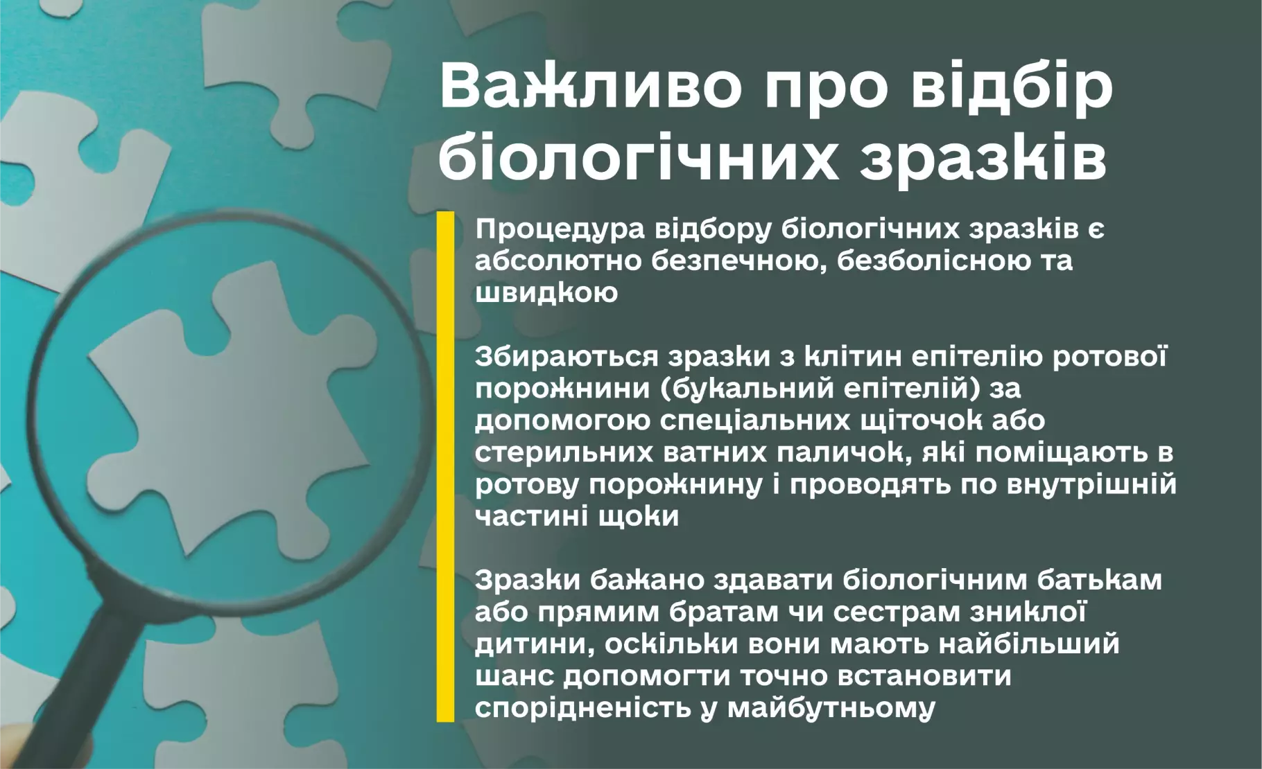 Інформаційний банер про процедуру відбору біологічних зразків для пошуку зниклих дітей. Текст пояснює, що процедура є безпечною та швидкою, а зразки (букальний епітелій) збираються за допомогою спеціальних щіточок. На фоні зображено фрагменти пазлів, один із яких розглядають через лупу.
