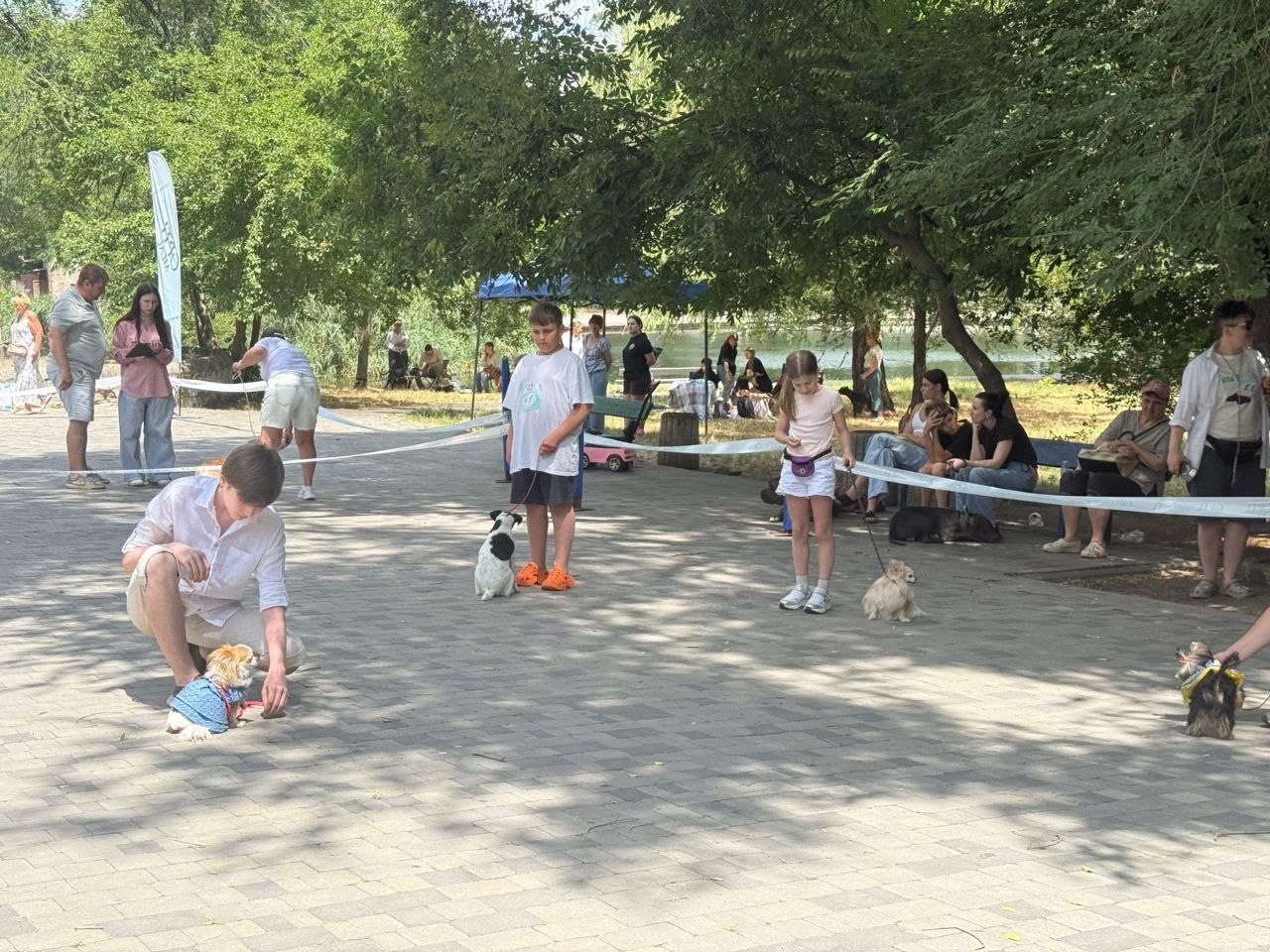 Майданчик у сонячному парку під густою тінню дерев, де зібралися власники маленьких собак декоративних порід. Простір навколо розмежовано натягнутими білими стрічками. На передньому плані розташовані кілька дітей та підлітків: Ліворуч на колінах присів хлопець у білій сорочці, який притримує маленького довгошерстого собаку (чихуахуа або шпіца) у синій жилетці-кофтинці. Поруч стоїть хлопець у білій футболці, біля ніг якого сидить біло-чорний джек-рассел-тер'єр. Правіше стоїть дівчинка у рожевій футболці та білих шортах із маленьким пухнастим світлим собакою на повідцю. На задньому плані на лавках та траве у затінку відпочивають глядачі, видно паркову водойму (річку або озеро) та інші групи людей з тваринами. Праворуч у кадр потрапив край маленького чорного йоркширського тер'єра.