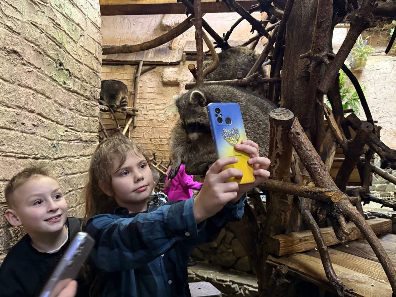 Хлопчик усміхається, заглядаючи в кадр телефону, поки дівчинка поруч намагається зробити спільне фото з єнотом у вольєрі.