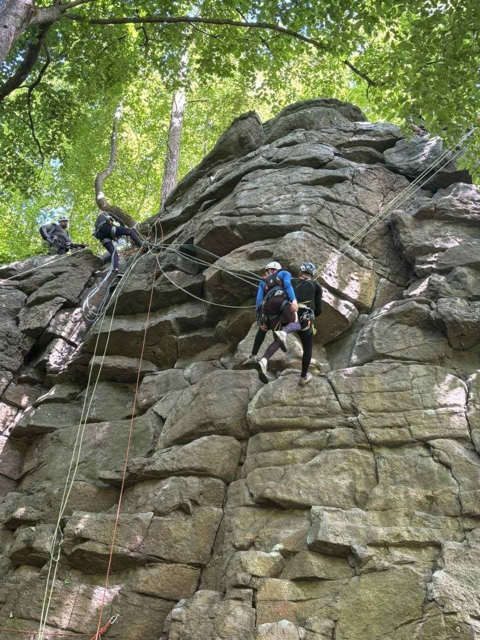 Процес підйому спортсменів по стрімкій скелястій стіні серед дерев. Чотири альпіністи в екіпіруванні, касках та страховочних системах піднімаються вгору кам'яним схилом. Двоє з них перебувають у лівій верхній частині скелі, інші двоє — у правій центральній частині, де один учасник здійснює підйом безпосередньо над іншим. Через усю скелясту поверхню прокладено численні мотузки для страховки та підйому. Зверху крізь густу зелену лісову крону пробивається сонячне світло.