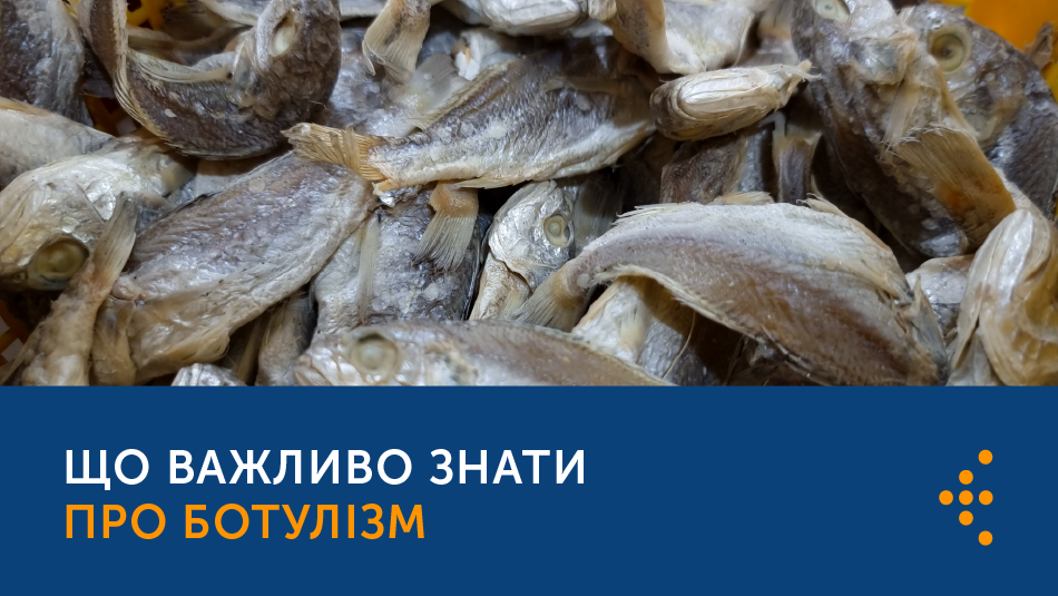 Зображення, розділене на дві частини: верхня частина показує крупним планом купу сушеної або в'яленої риби, а нижня — синій фон із текстом: ЩО ВАЖЛИВО ЗНАТИ ПРО БОТУЛІЗМ