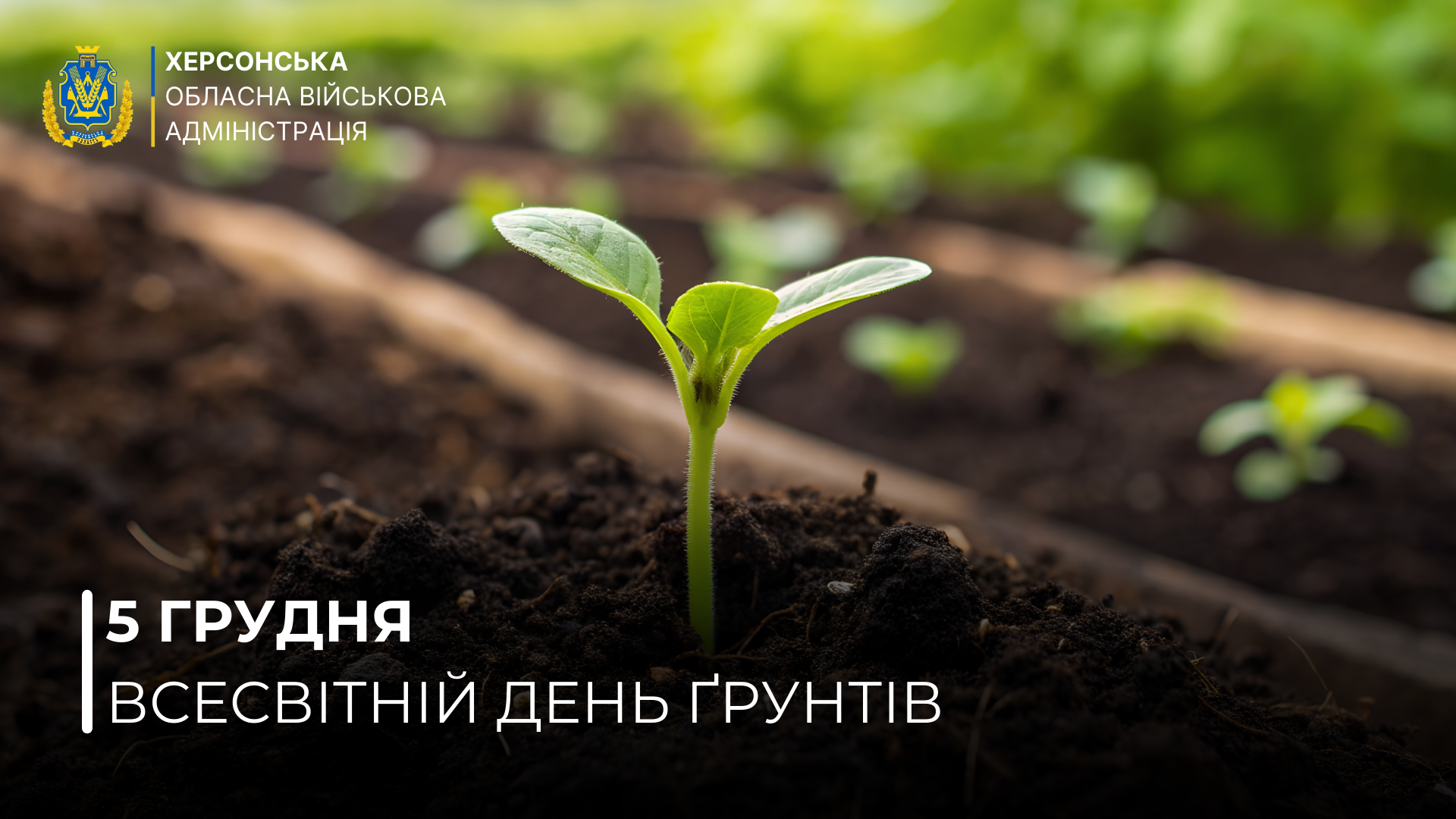 Інформаційний банер Херсонської ОВА. Зображено крупним планом молодий паросток, що проростає з темного ґрунту. Внизу напис: '5 грудня — Всесвітній день ґрунтів'.