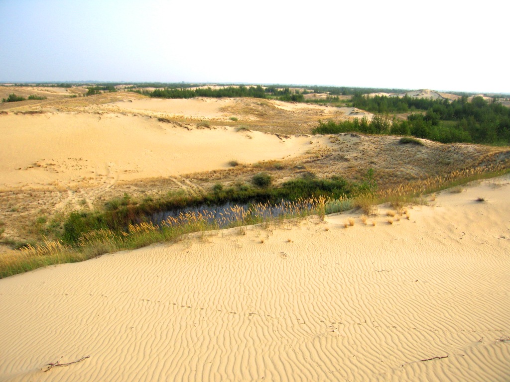Панорамний вид національного природного парку «Олешківські піски». Величезні піщані дюни з рідкою рослинністю та невеликою водоймою в низині під світлим небом.