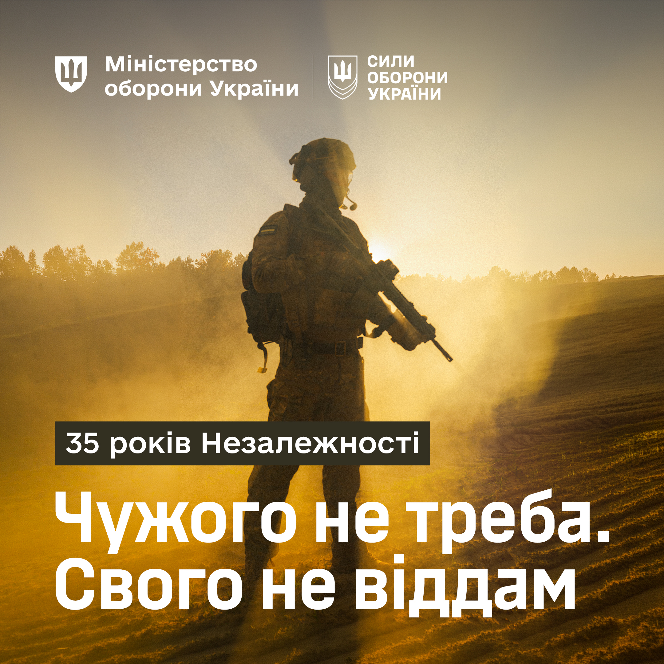 Патріотичний плакат Міністерства оборони України до 35-ї річниці Незалежності України. У центрі зображення в золотистих променях сонця та пиловому серпанку стоїть український військовий у повному бойовому спорядженні зі штурмовою гвинтівкою в руках на тлі відкритого поля та лісосмуги.
