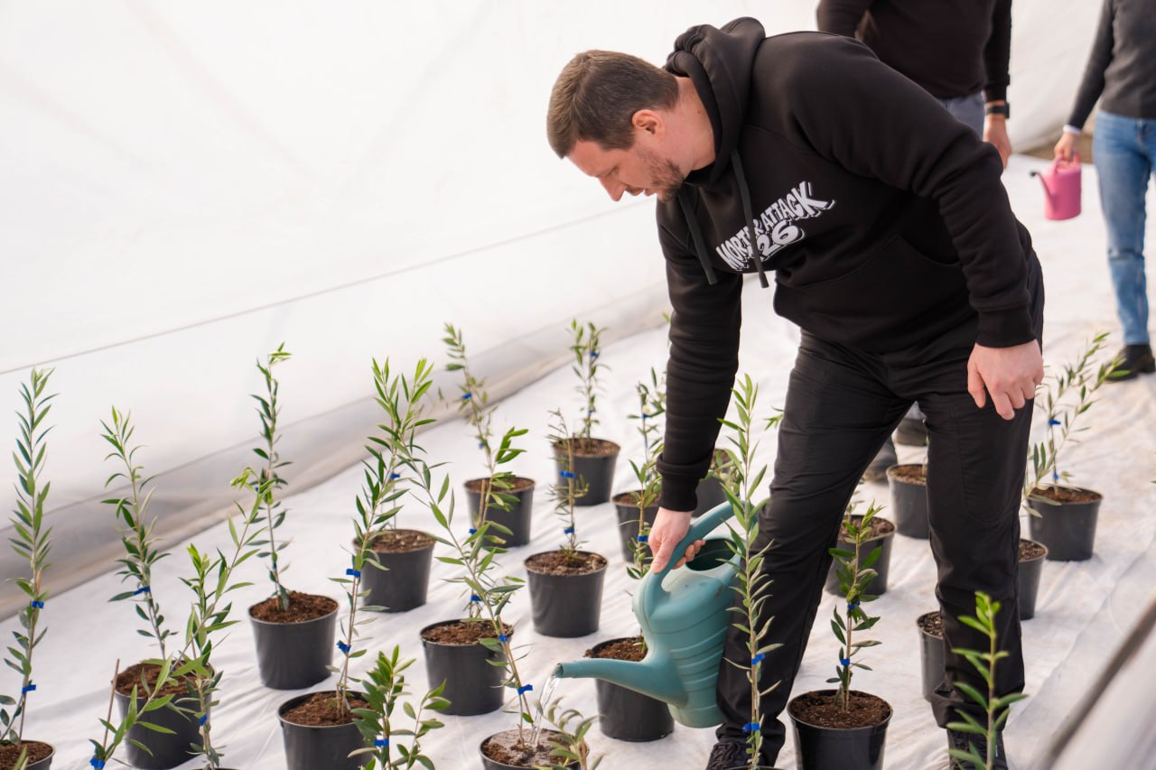 Чоловік у чорному худі поливає з лійки молоді саджанці в горщиках, що розставлені рядами на білому покритті всередині теплиці. На задньому плані видно іншу людину з рожевою лійкою. Саджанці мають тонкі зелені листя та закріплені синіми стрічками до опор.