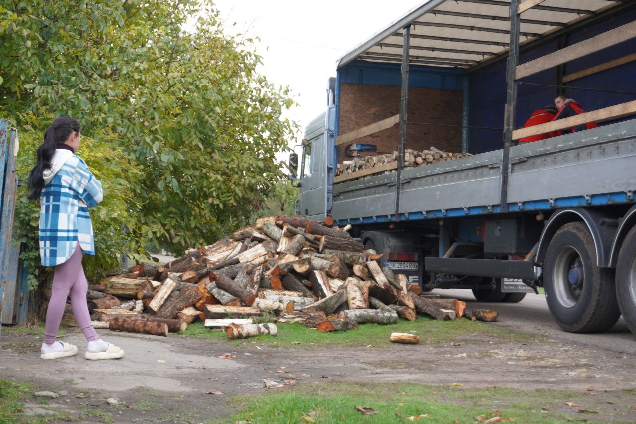 Зображення демонструє момент доставлення дров великою вантажівкою на сільській вулиці.  На передньому плані ліворуч стоїть молода жінка або дівчина, повернута боком до глядача. Вона має довге темне волосся, одягнена у велику біло-блакитну картату сорочку з капюшоном, рожеві легінси та біле взуття на платформі. Вона дивиться на велику купу колотих дров на землі.  Купа дров розташована в центрі кадру, на ґрунті, вкритому травою та листям.  На задньому плані до правої частини кадру припаркована велика вантажівка з високим причепом (борт синього кольору). Тент причепа частково відкинутий, усередині видно залишки невеликої кількості дров. У кузові вантажівки сидить людина в червоній куртці, яка, ймовірно, допомагає з розвантаженням.  Ліворуч, за жінкою, знаходиться зелене дерево або великий кущ.