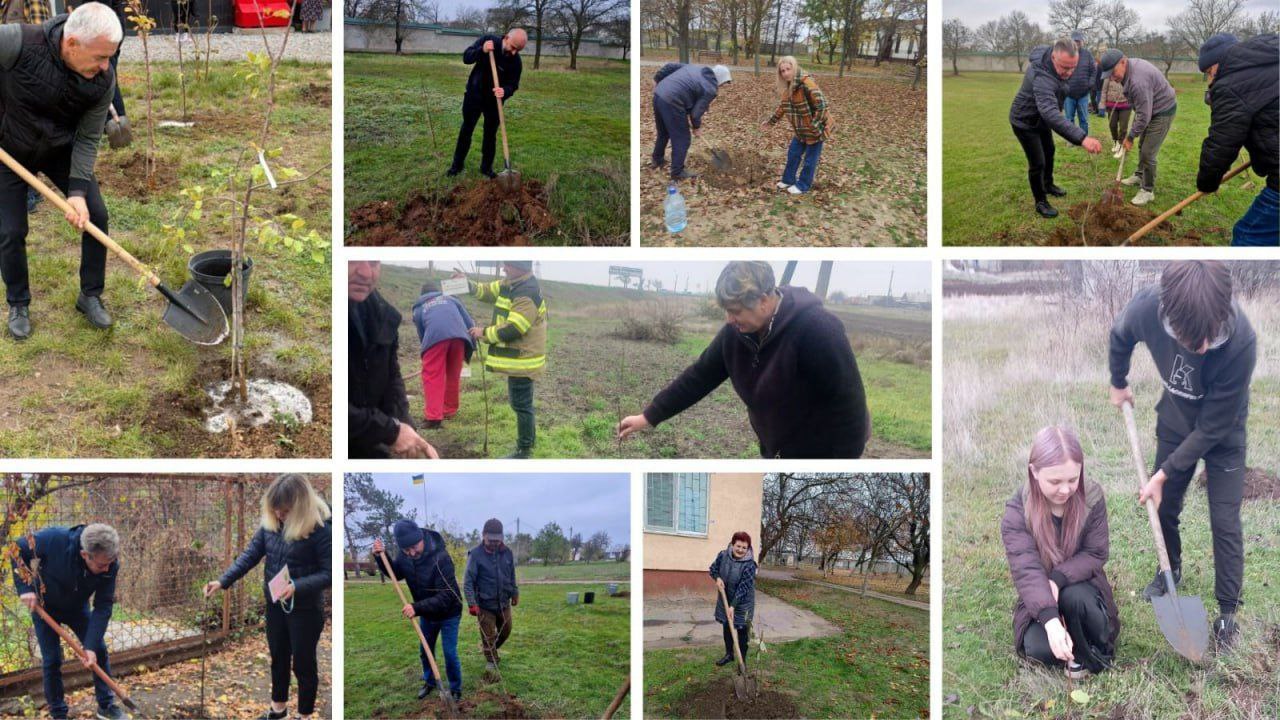 Колаж із фотографій, на яких зображені люди різного віку, що спільно займаються висадкою молодих дерев. Люди копають ями лопатами та садять саджанці в парках або на відкритих територіях.