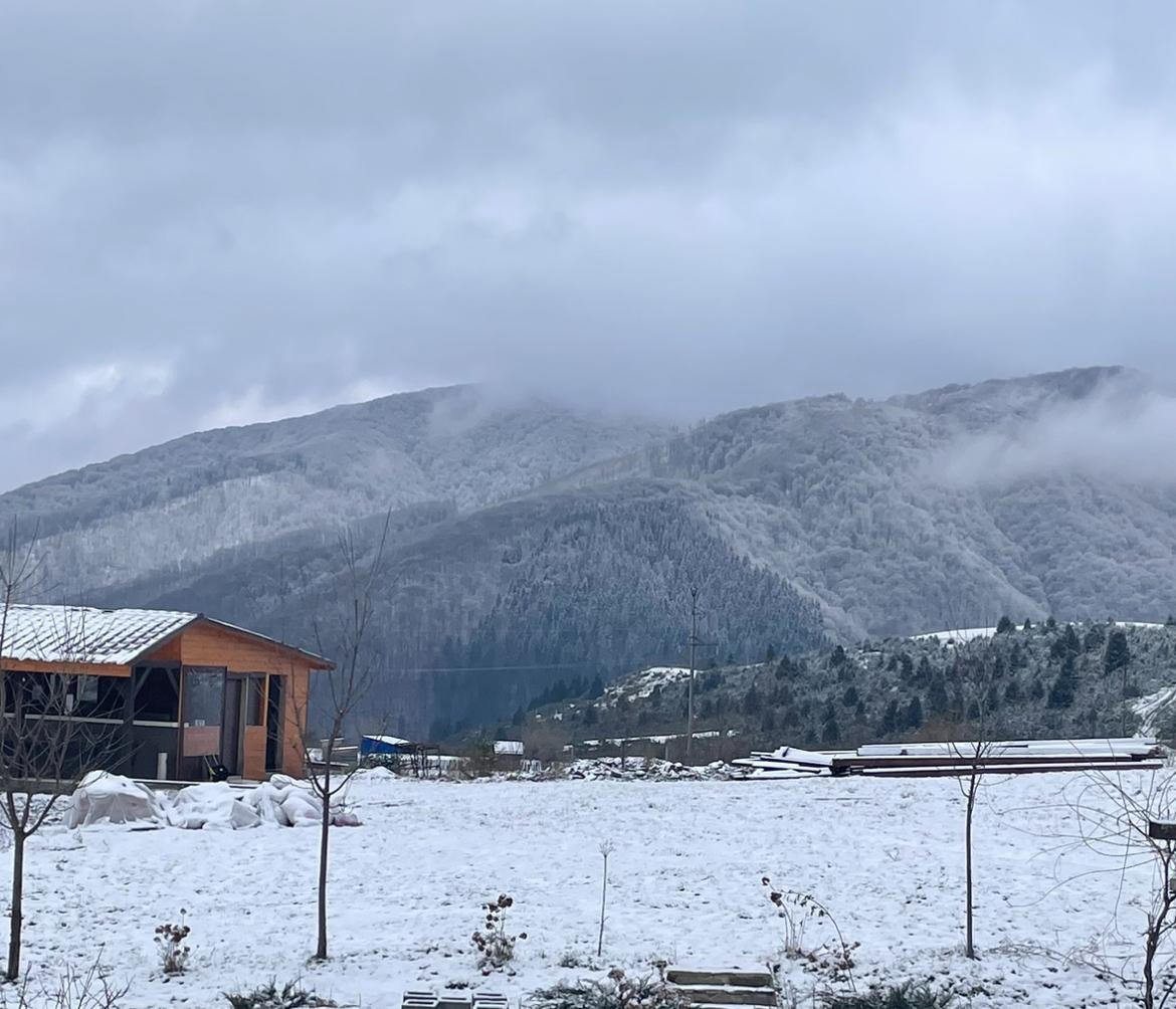 На знімку зображено похмурий зимовий день. Величезні гори на задньому плані вкриті снігом і частково оповиті низькими хмарами або туманом. На передньому плані видно засніжене поле та невеликий дерев'яний будинок із похилим дахом.