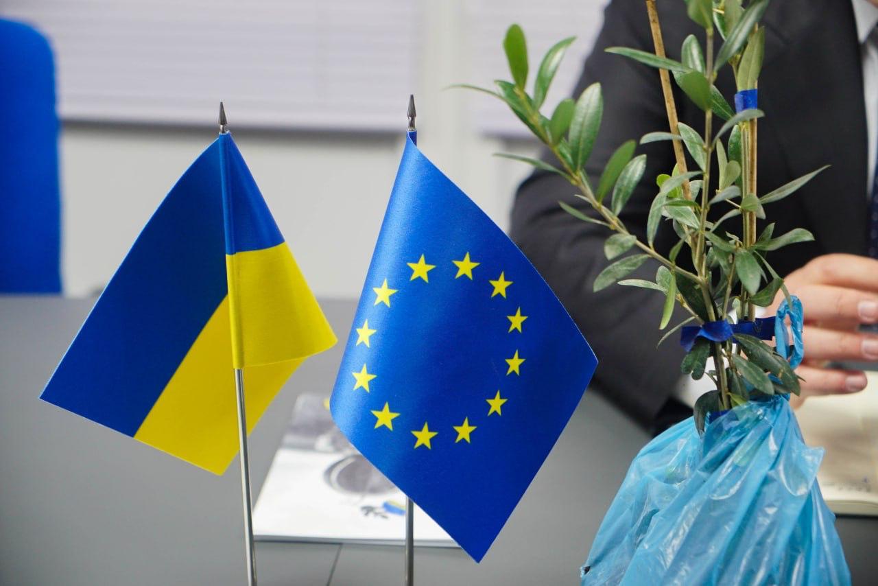 На столі стоять поруч мініатюрні прапори України та Європейського Союзу, а праворуч — маленьке деревце оливи, загорнуте у синій поліетилен.