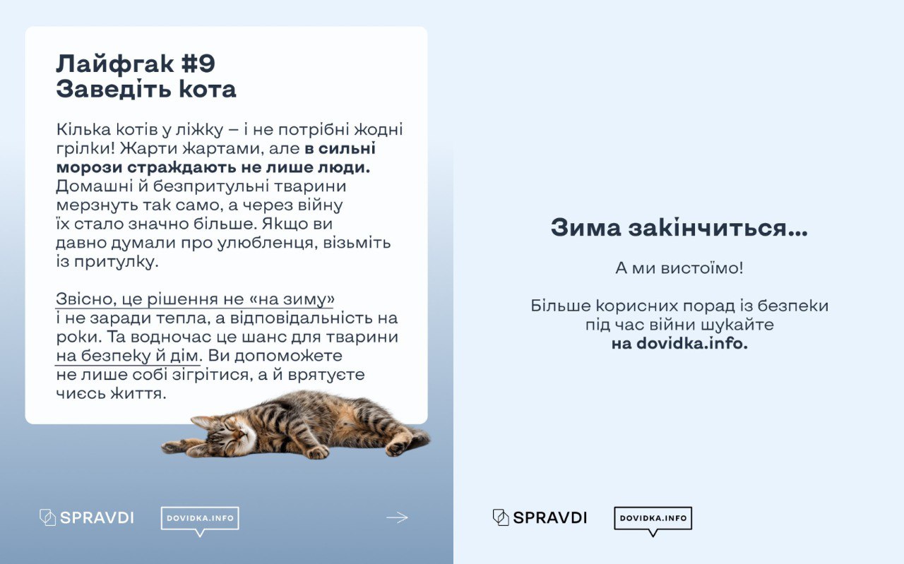Інформаційна картка з фінальним лайфхаком №9, що пропонує зігріватися за допомогою домашніх улюбленців та закликає брати тварин із притулків. На світлому фоні зображено смугастого кота, який лежить на спині, а поруч розміщено надихаючий напис про те, що зима закінчиться і ми вистоїмо.