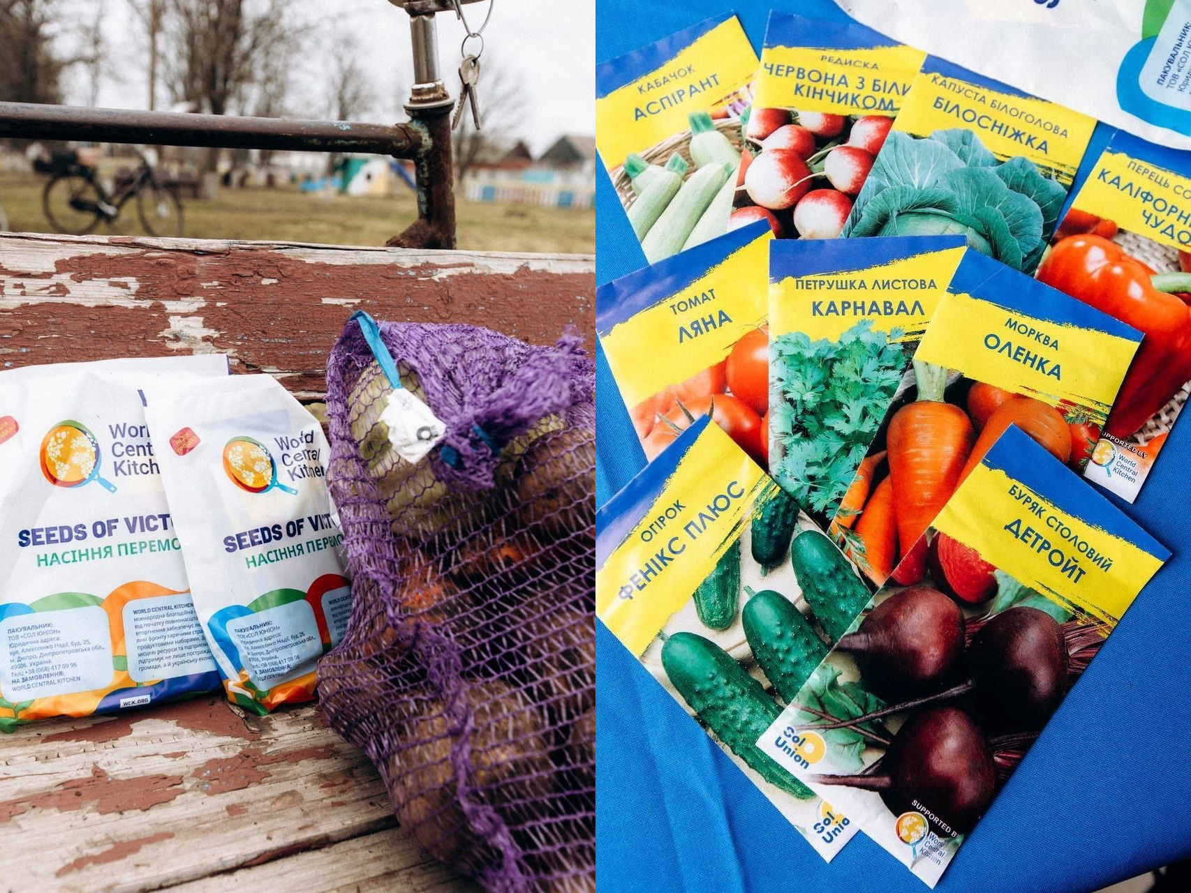 Колаж із двох фото: зліва — пакунки насіння «Насіння перемоги» та сітка з картоплею на лавці; справа — крупний план різнокольорових пакетиків із насінням овочів (огірків, буряків, моркви та інших) від організації World Central Kitchen.