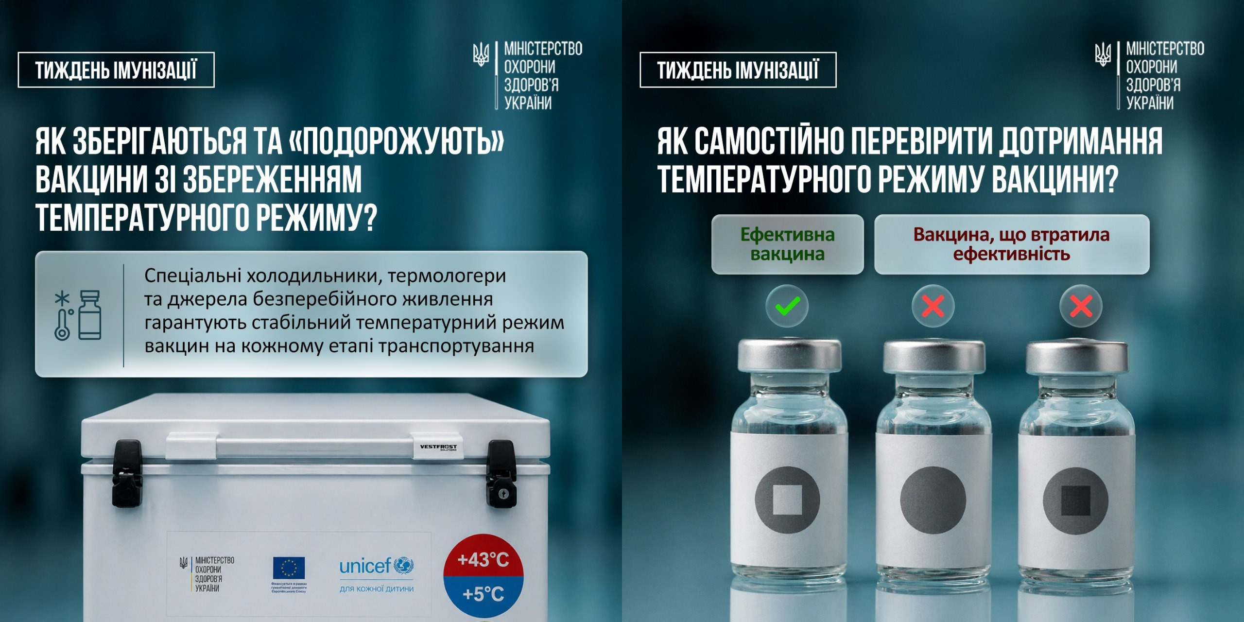 Колаж із двох інформаційних плакатів МОЗ України про правила дотримання температурного режиму вакцин у межах «Тижня імунізації» на тлі роз'яснення про роботу холодового ланцюга. Лівий плакат із заголовком «ЯК ЗБЕРІГАЮТЬСЯ ТА «ПОДОРОЖУЮТЬ» ВАКЦИНИ...» містить опис використання холодильників, термологерів та фото білого термоконтейнера з логотипами МОЗ і Unicef. Правий плакат під заголовком «ЯК САМОСТІЙНО ПЕРЕВІРИТИ ДОТРИМАННЯ ТЕМПЕРАТУРНОГО РЕЖИМУ ВАКЦИНИ?» демонструє три медичні флакони з термоіндикаторами: лівий із зеленою галочкою є ефективним (темне коло зі світлим квадратом всередині), а два праві з червоними хрестиками показують вакцину, що втратила якість через потемніння внутрішнього квадрата.